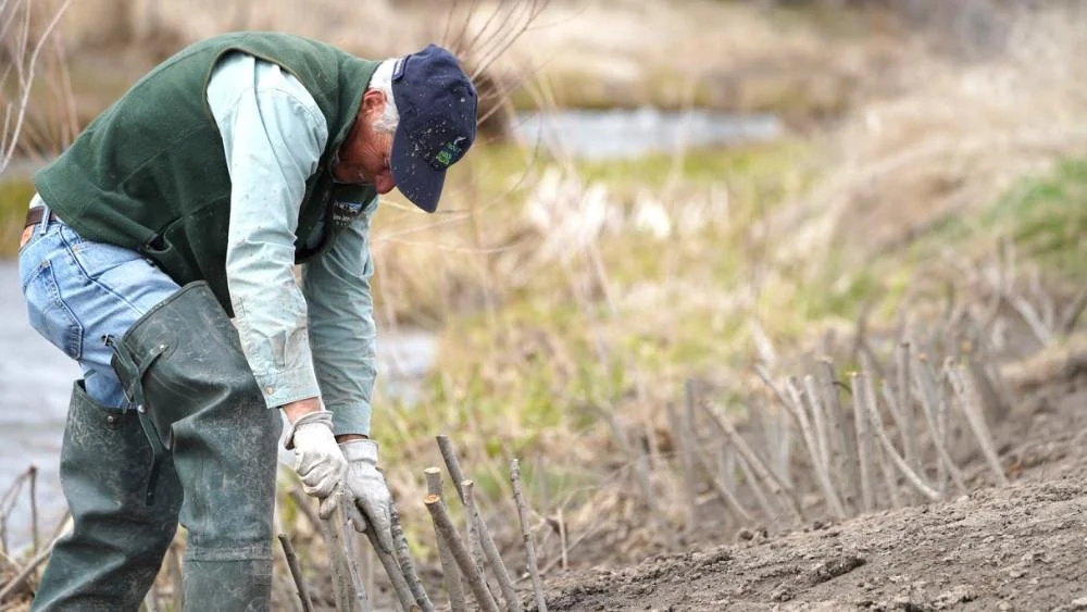 Restoration Thursday with Gallatin Watershed Council