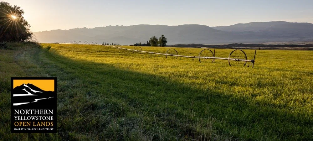 437-Acre Ranch in Paradise Valley’s Mill Creek Drainage Permanently Conserved