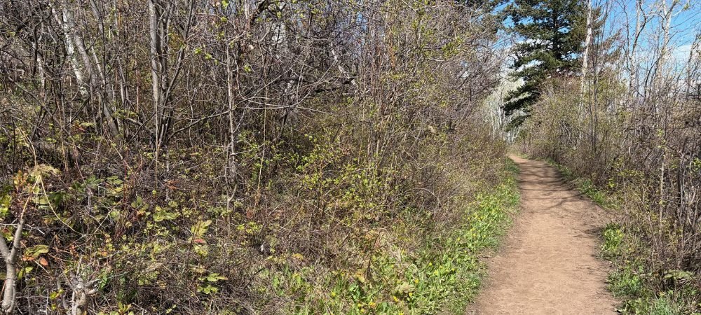 On the Trail With Dayle: Finding Lost Motivation