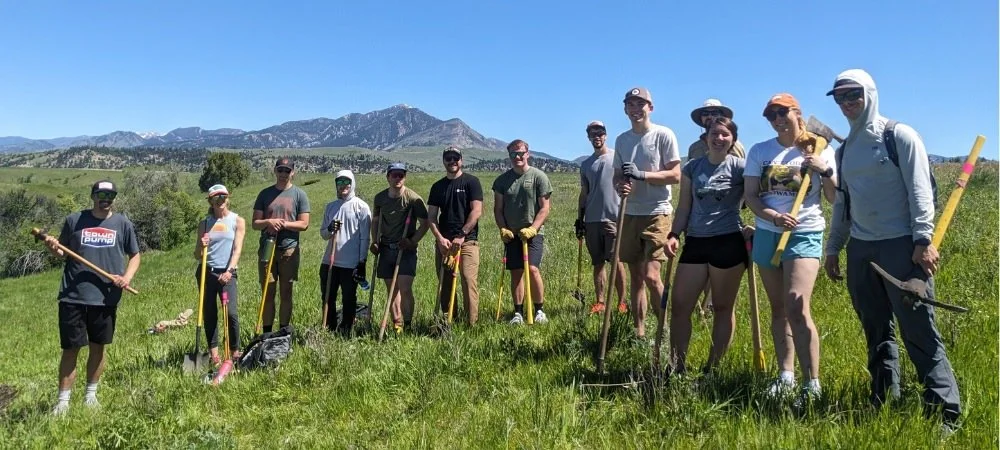 Volunteer with GVLT This Summer