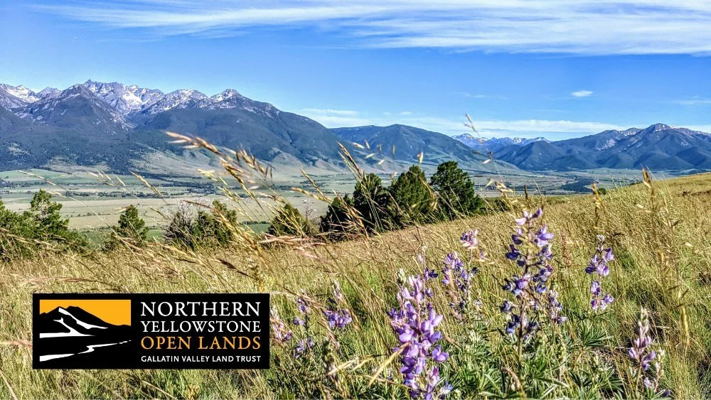 Northern Yellowstone Open Lands Sip &amp; Greet