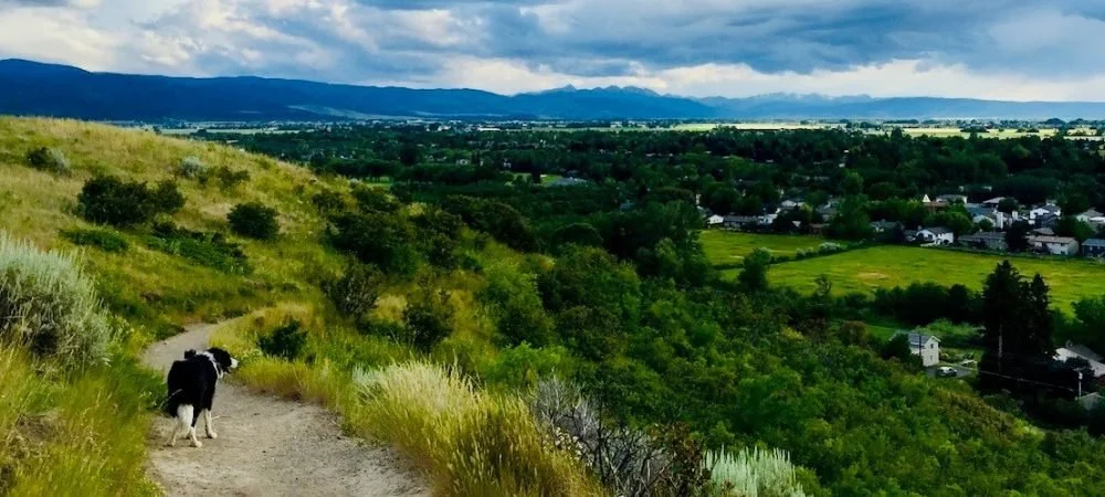On the Trail With Dayle: An Ode to Nox