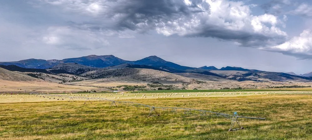 GVLT Partners with Local Rancher to Permanently Protect 394-Acre Working Ranch in Madison County