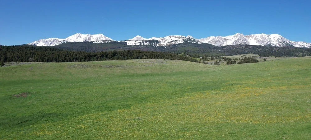 Over 600 acres in Northeast Bridger Foothills Conserved