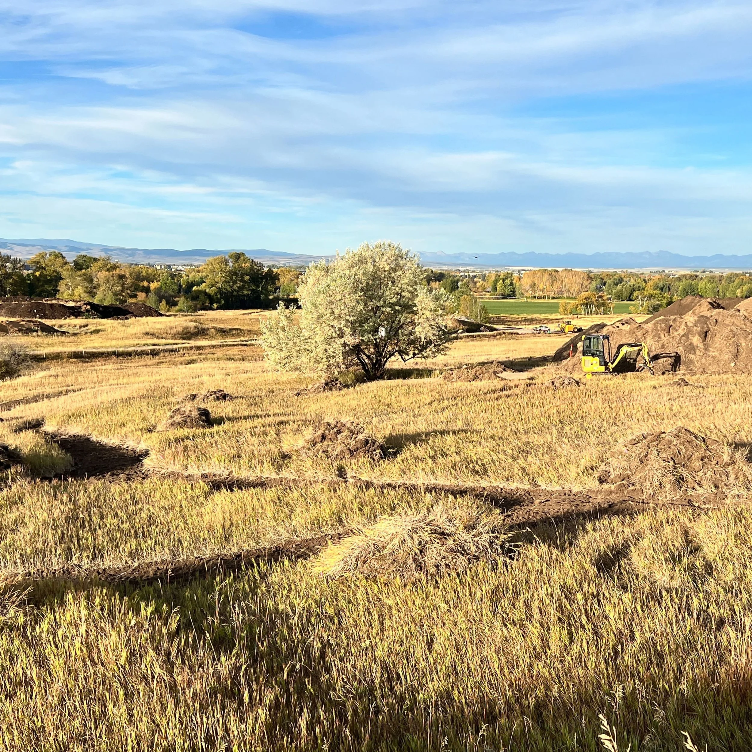View toward green trails and future site of family-friendly kid zone