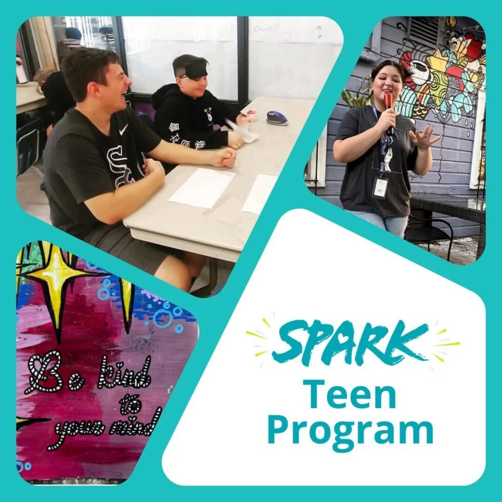 SPARK Teen (High School) Curriculum License (1 year)