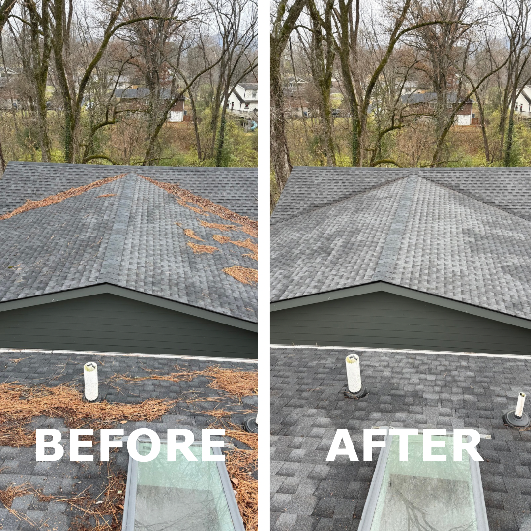 Before & After: roof cleaning
