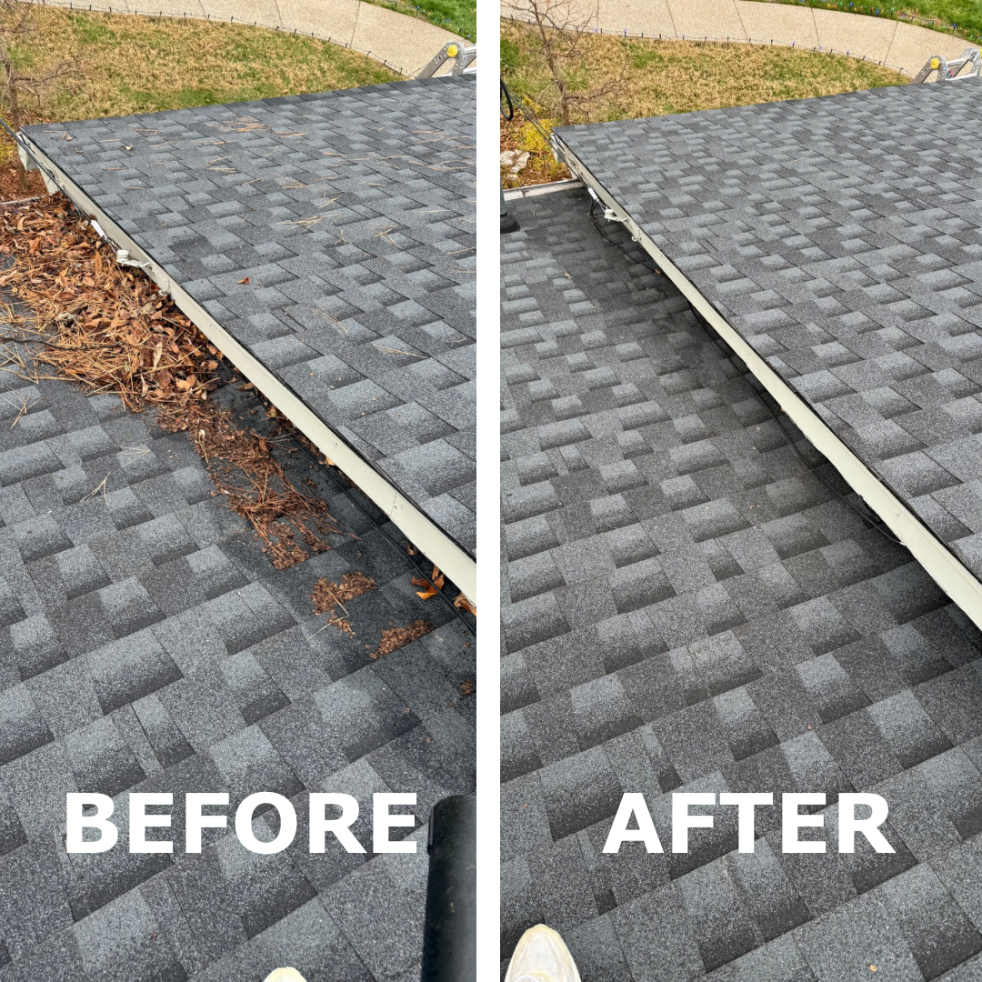 Before & After: roof cleaning