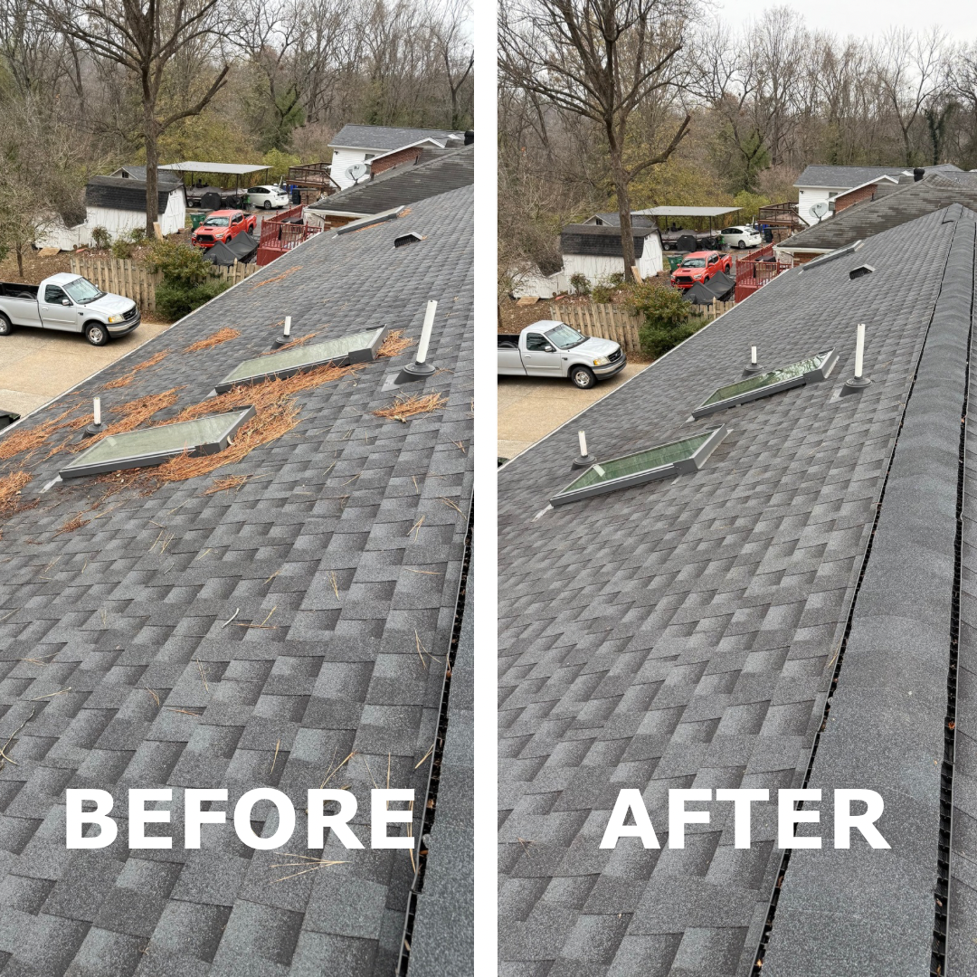 Before & After: roof cleaning