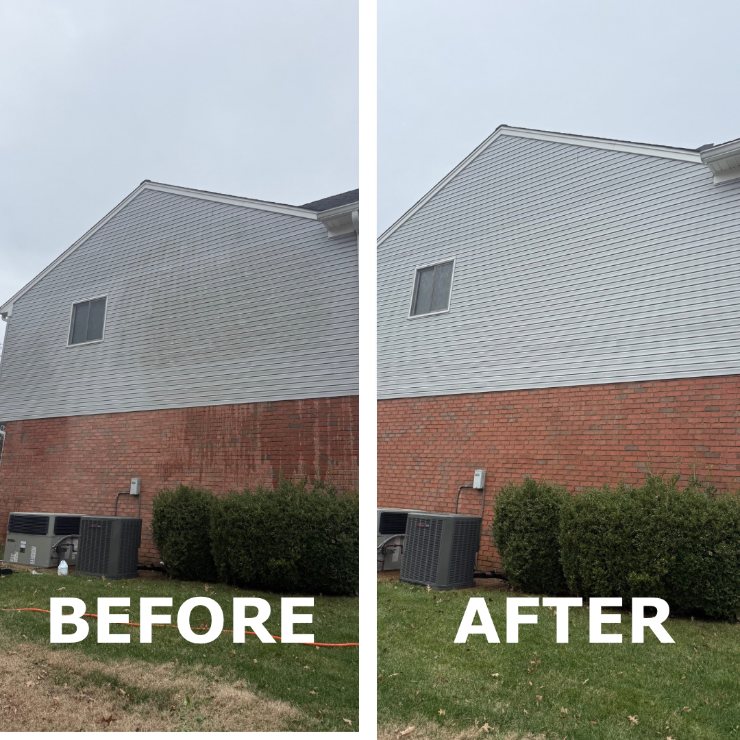 Before & After: House soft washing