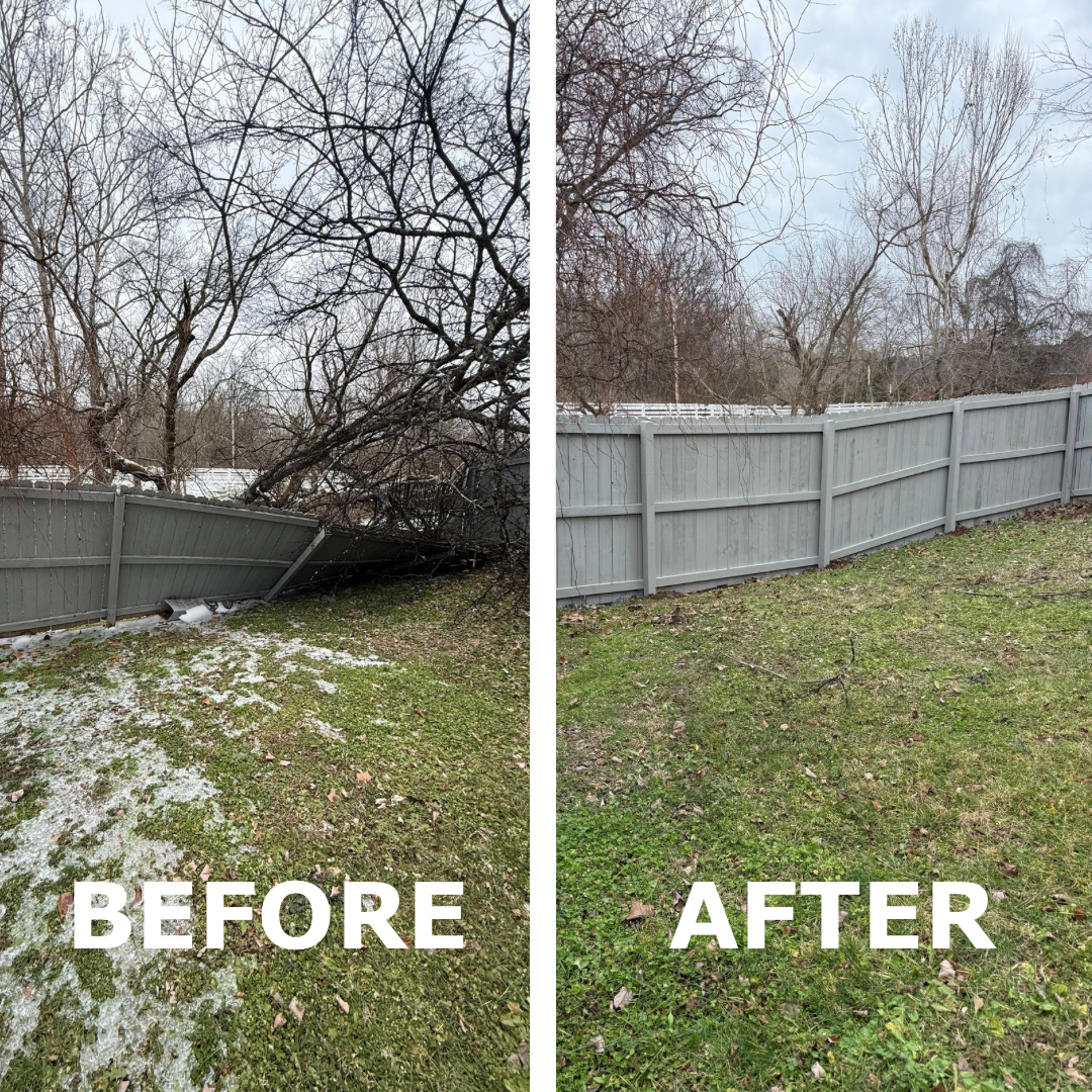 Before & After: Fence repair