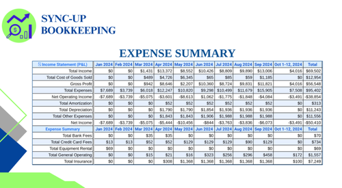 The Expense Summary report provides a detailed overview of a company's expenses, categorized by type and broken down on a month-by-month basis for the current year.