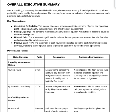 The Executive Summary report provides a high-level overview of a company's key financial performance indicators (KPIs) and metrics.