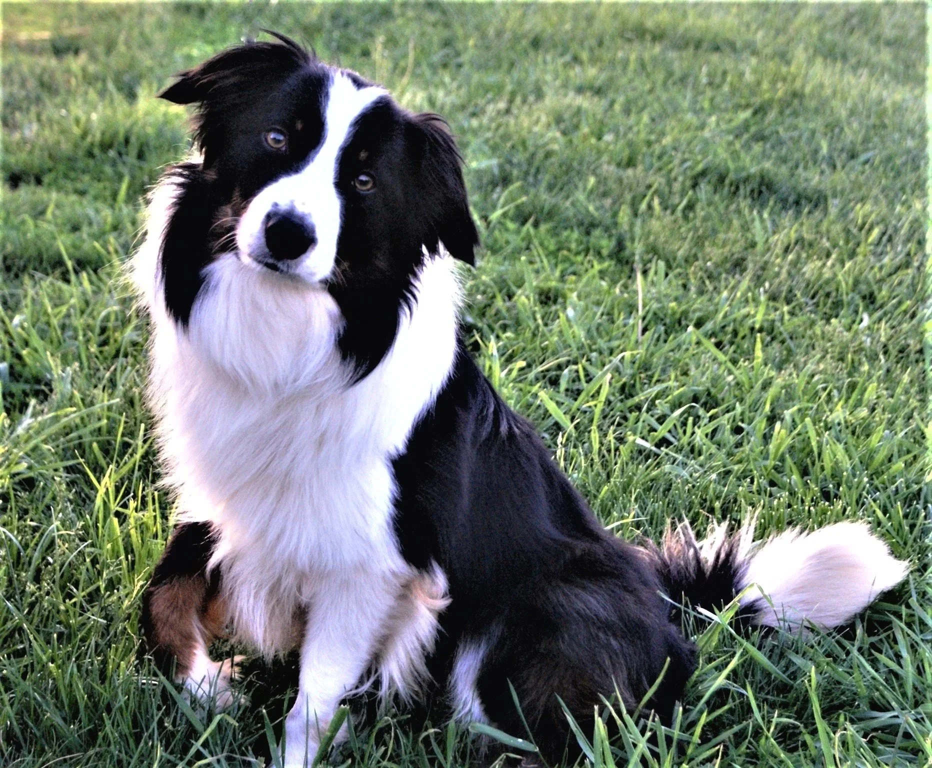 Hector and Other         Death Defying Reasons    to Celebrate