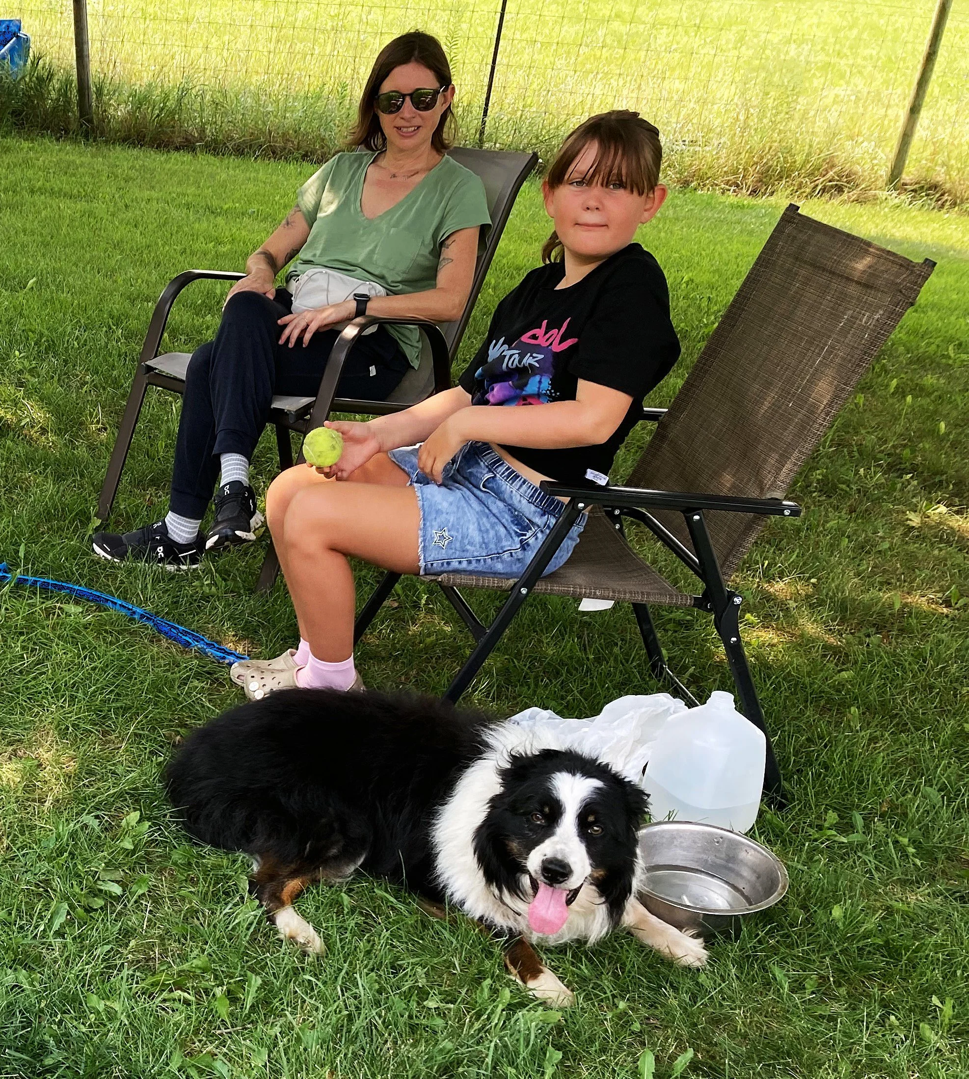 Dog Delight Teaches the Joy of Hospitality