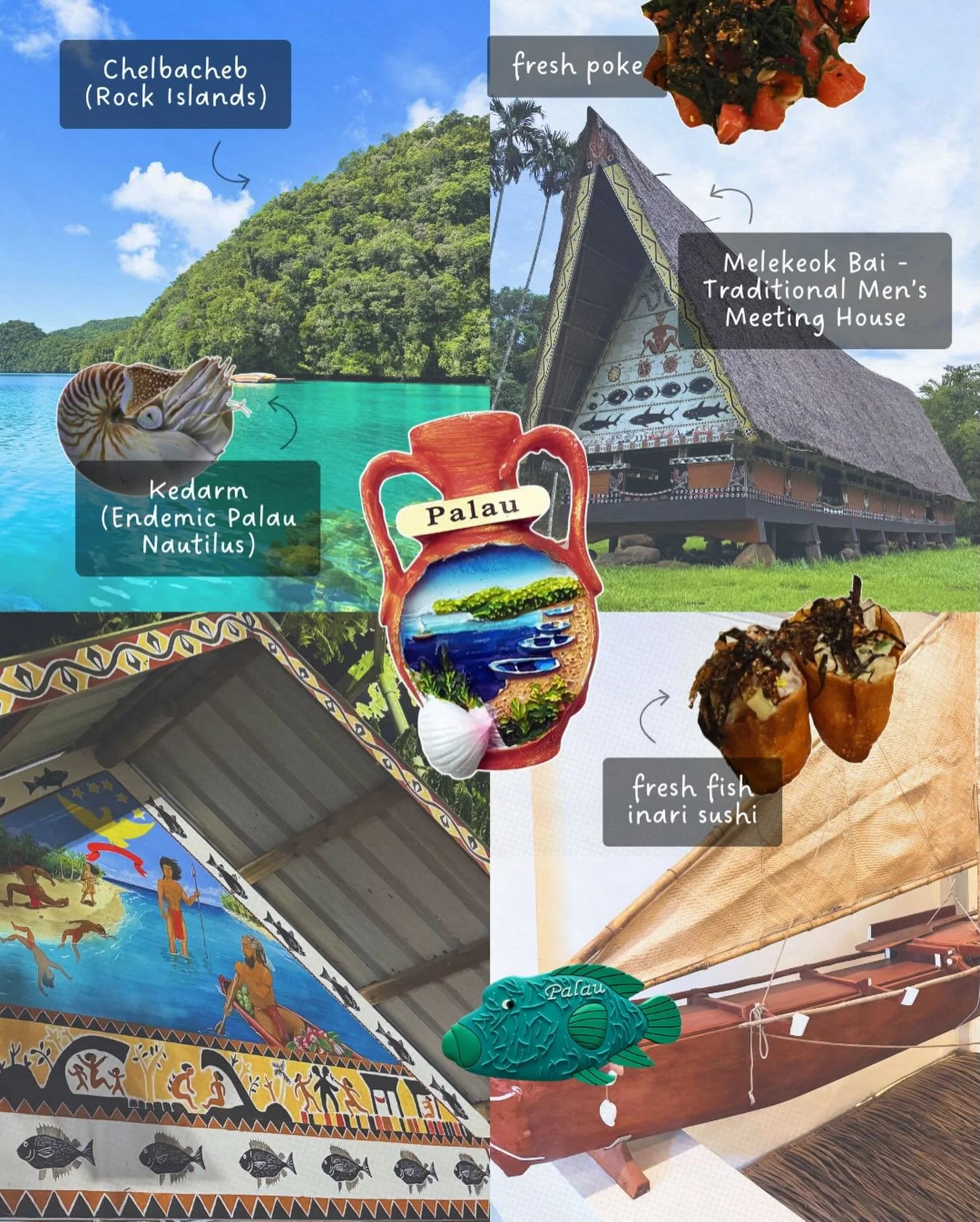 FINAL WEEK TO APPLY &mdash; this is your last chance! ⏰🌊☀️

Don&rsquo;t miss your chance to spend your summer learning in one of the most powerful classrooms on Earth&hellip;the ocean itself ✨

This summer, travel to Palau, where culture and conserv