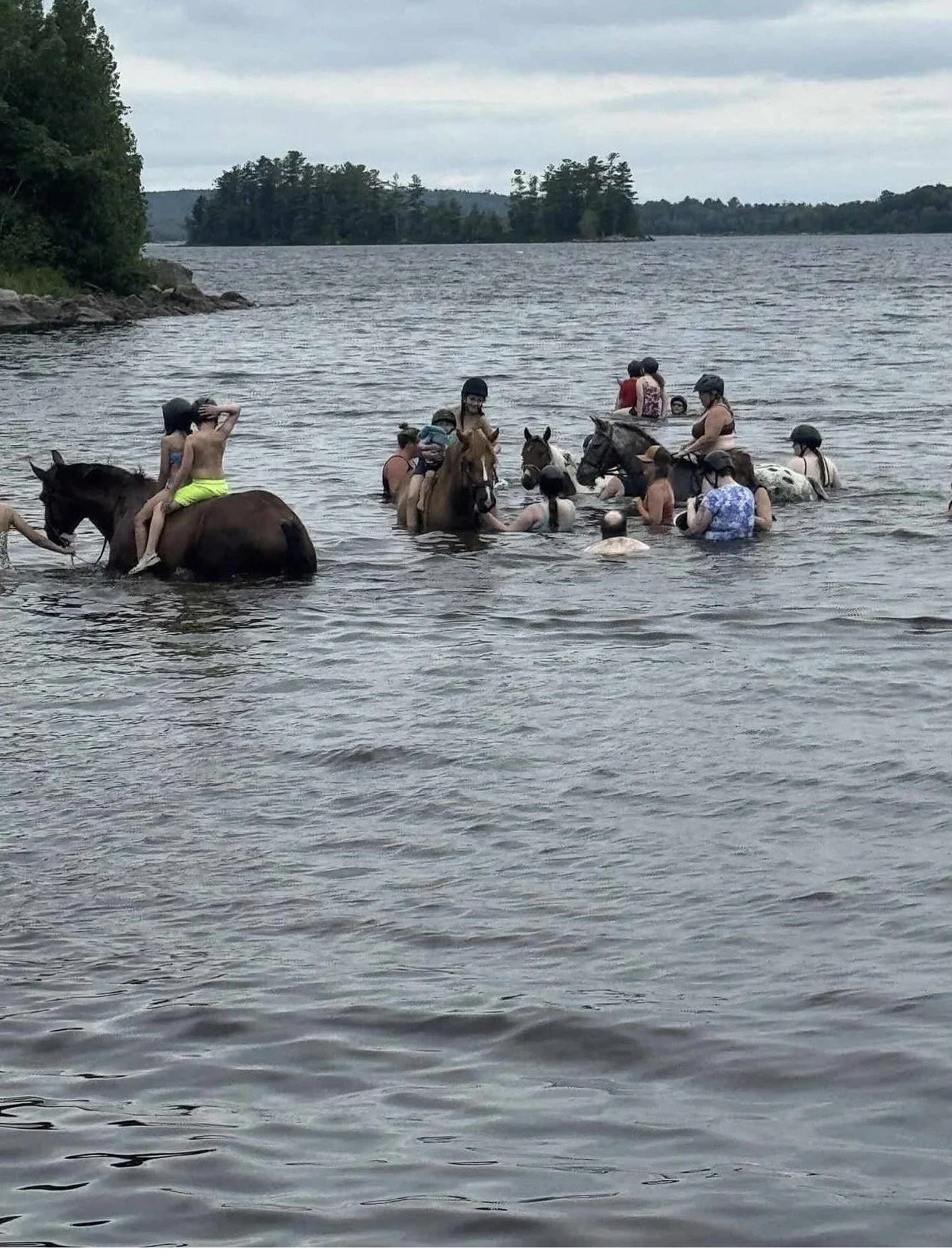 Swimming with horse