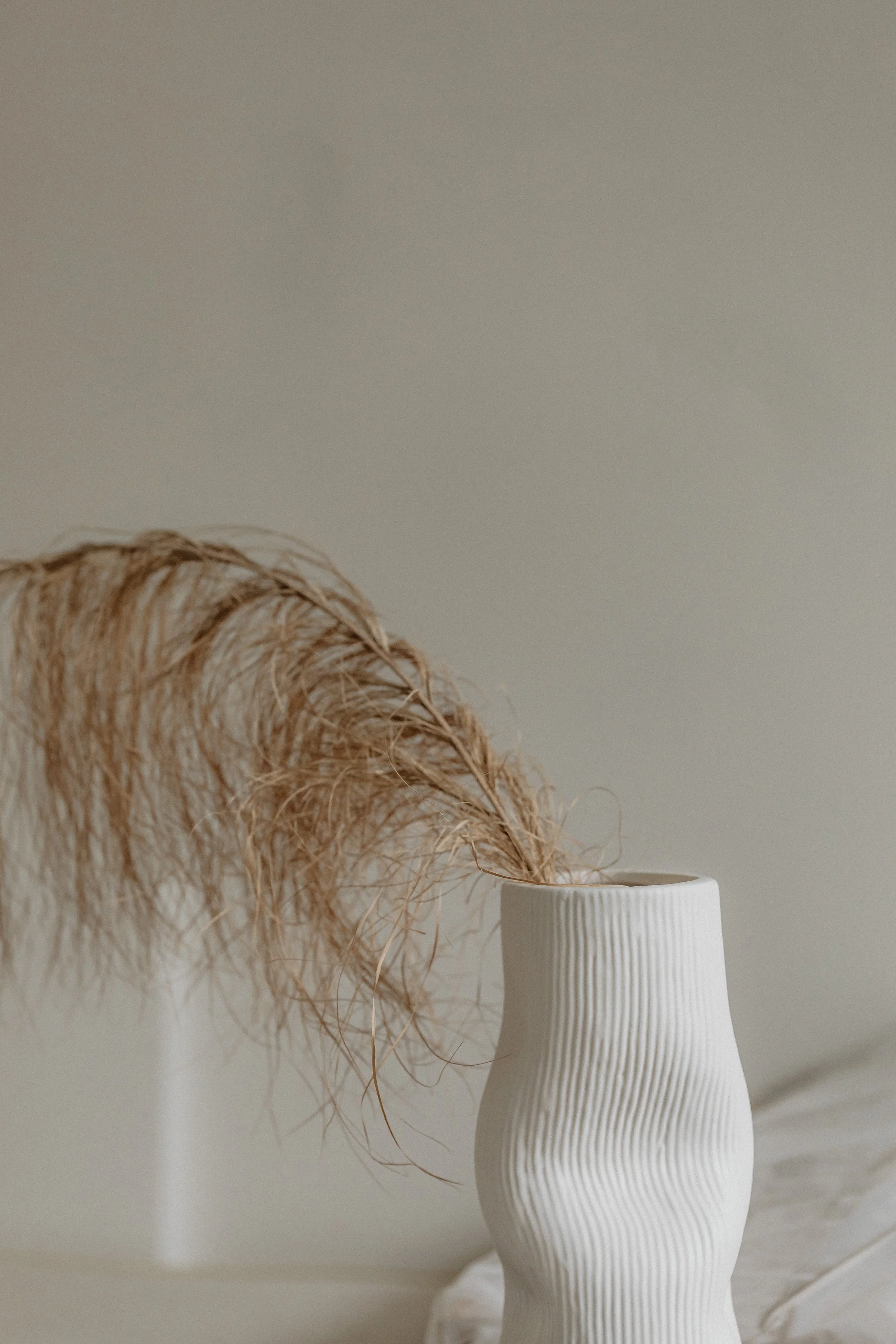 kaboompics_dried-palm-leaf-in-a-white-vase-30954.jpg