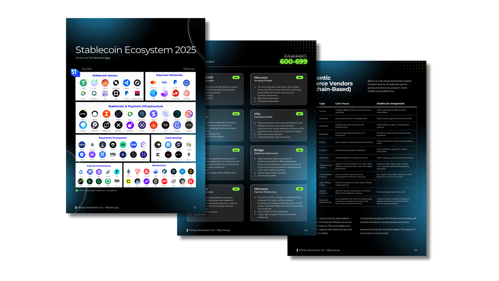 A digital presentation slide showing the Stablecoin Ecosystem 2025, including categories of stablecoin issuers, payment networks, infrastructure, processors, and blockchains, with logos and descriptions.