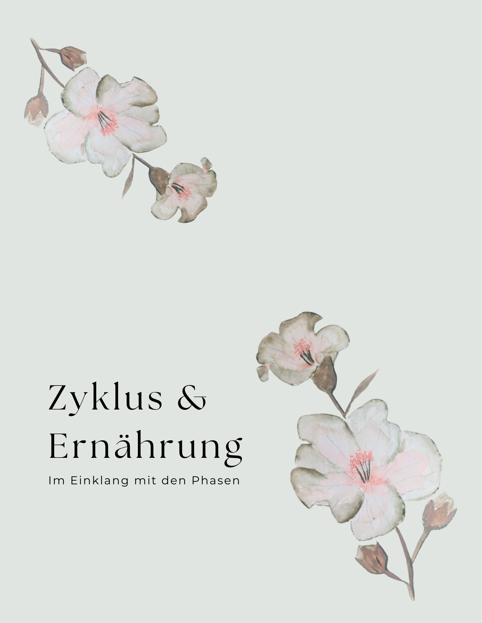 Zyklus & Ernährung - im Einklang mit den Phasen