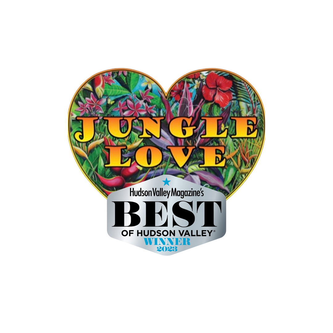Jungle Love Dance Party