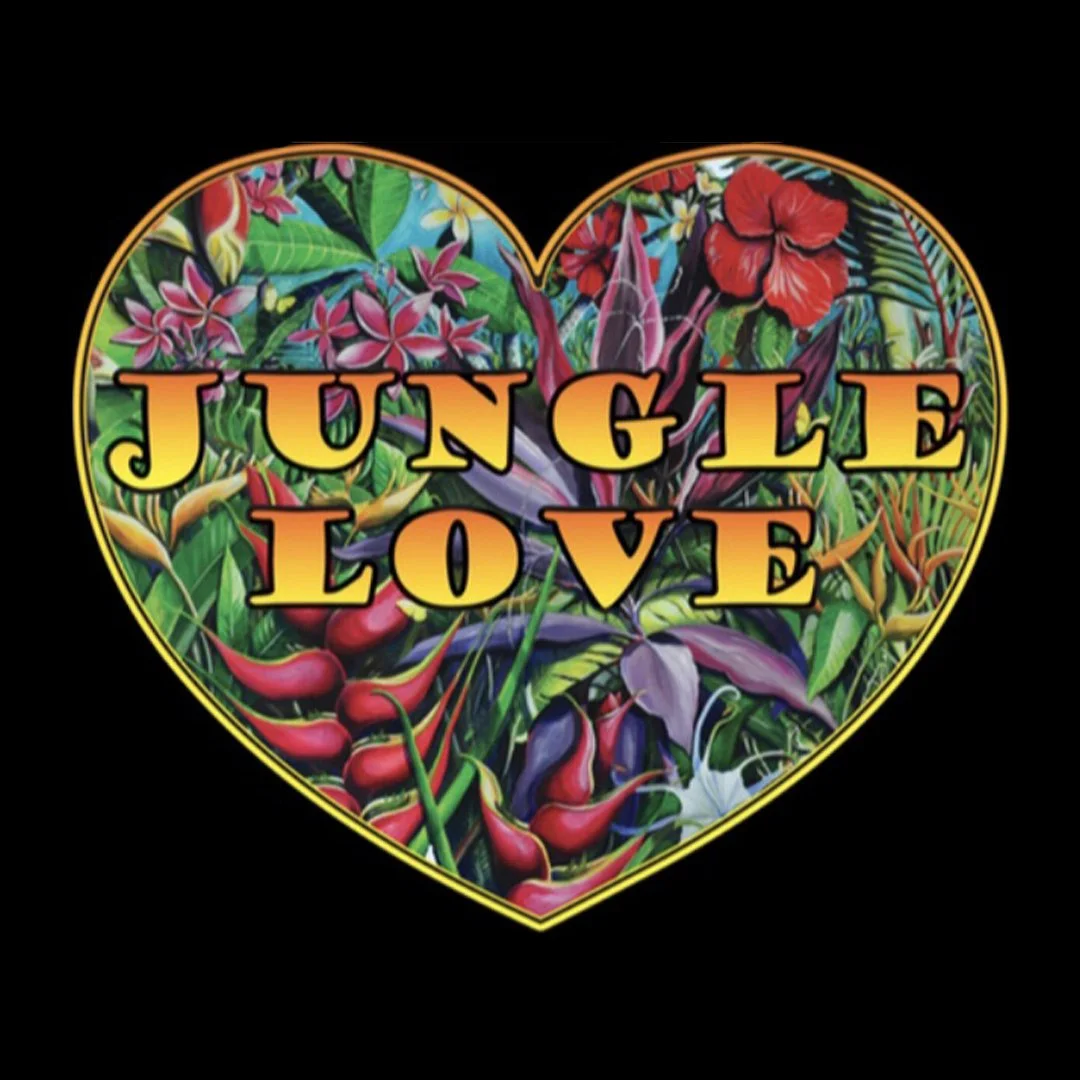 Valentine's Day Dance - Jungle Love