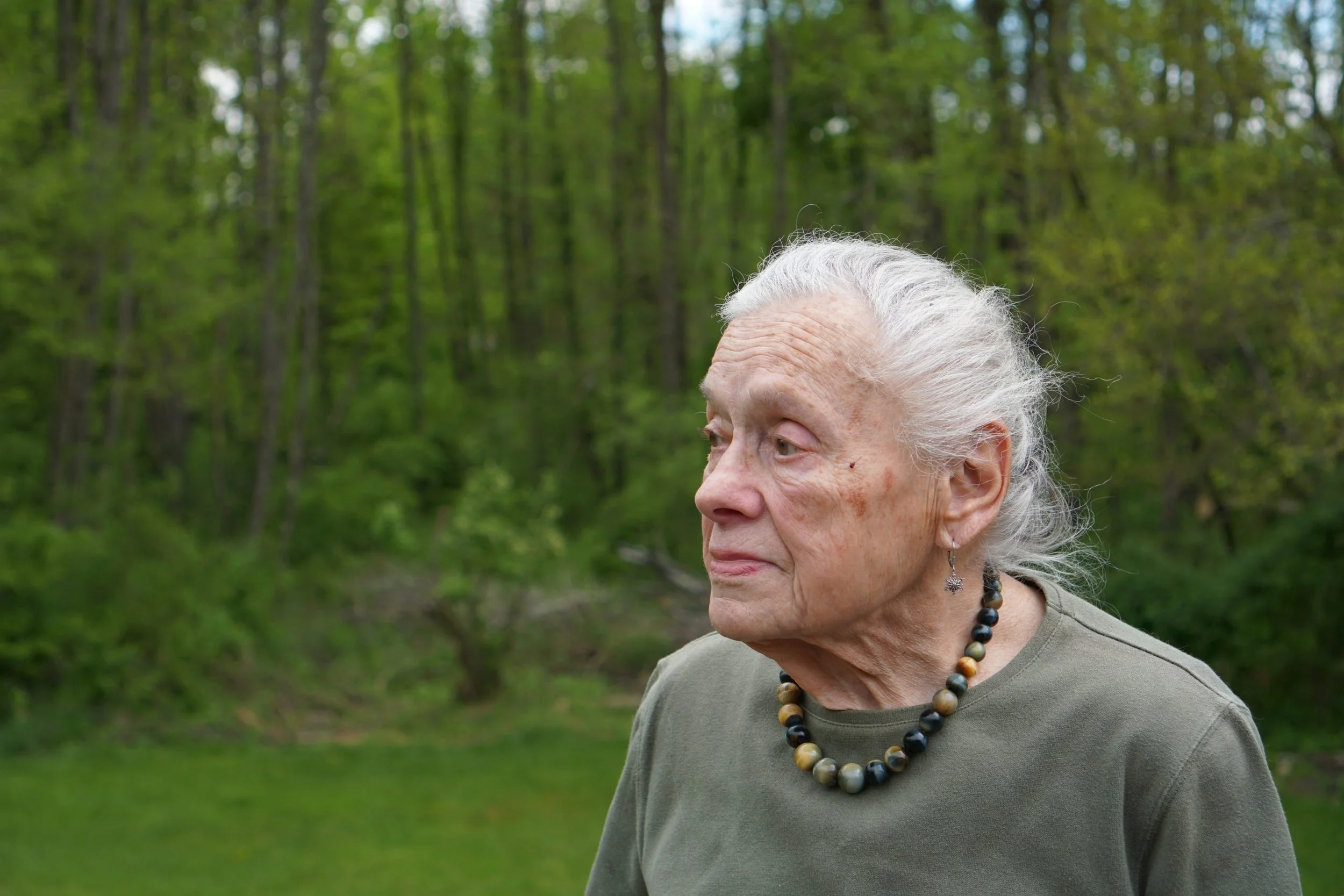 Helpful Neighbors by Robert Lyons