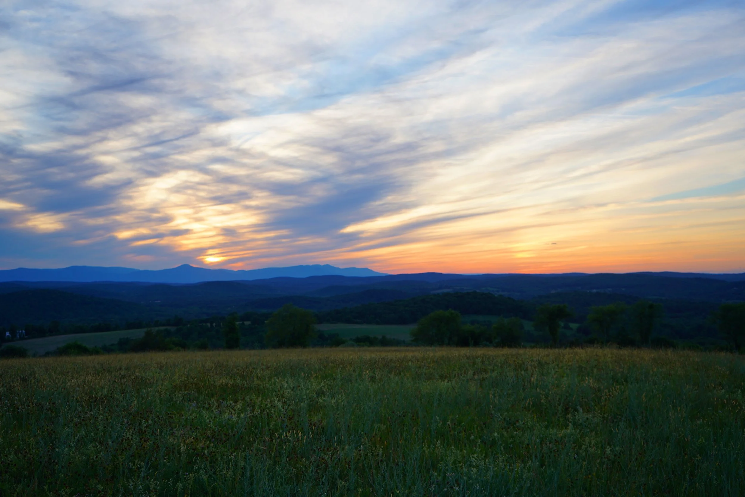 Harvest Sunset Celebration