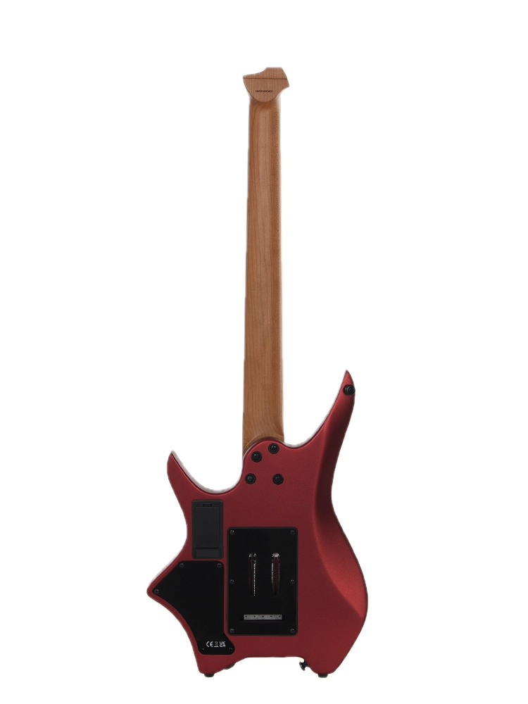 hn5 rr back Background Removed.png