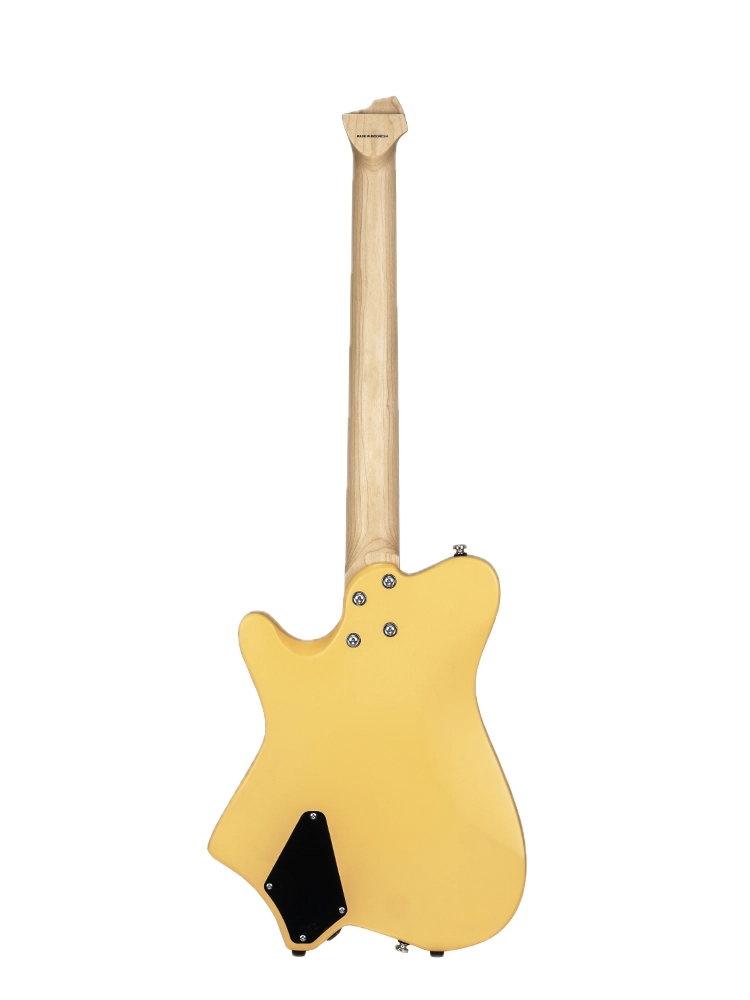 hnt bsc back Background Removed.png