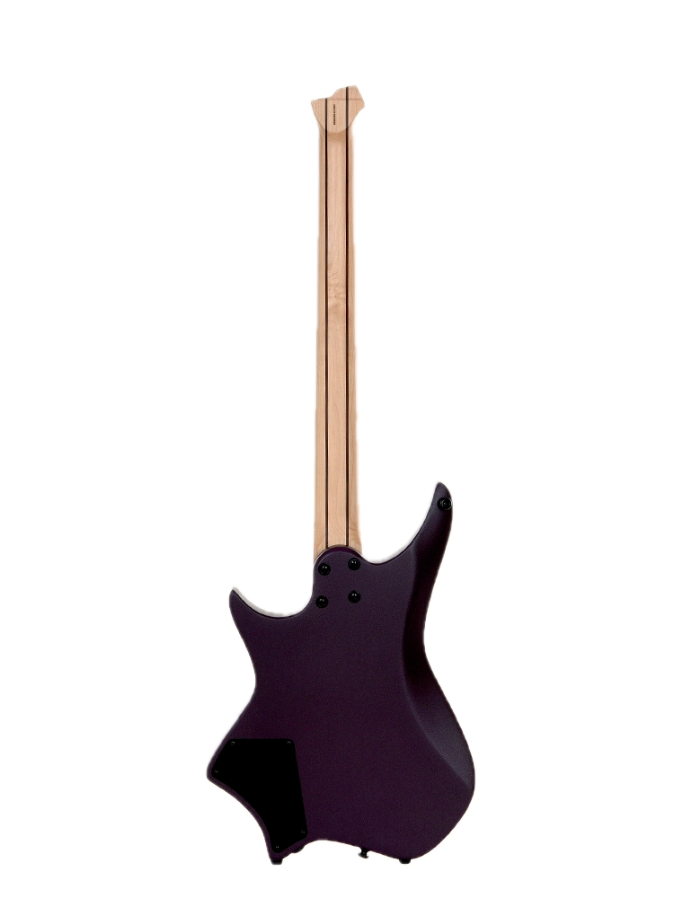bari back Background Removed.png
