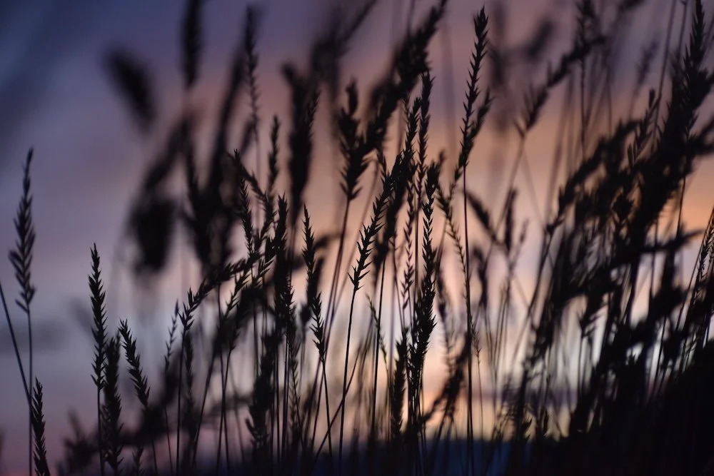 Sunset.jpg