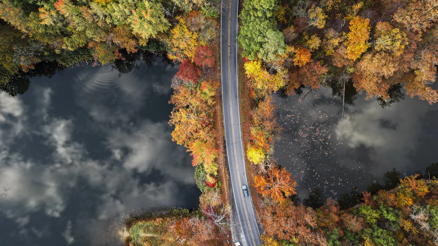 LakeWeddington-12.jpg