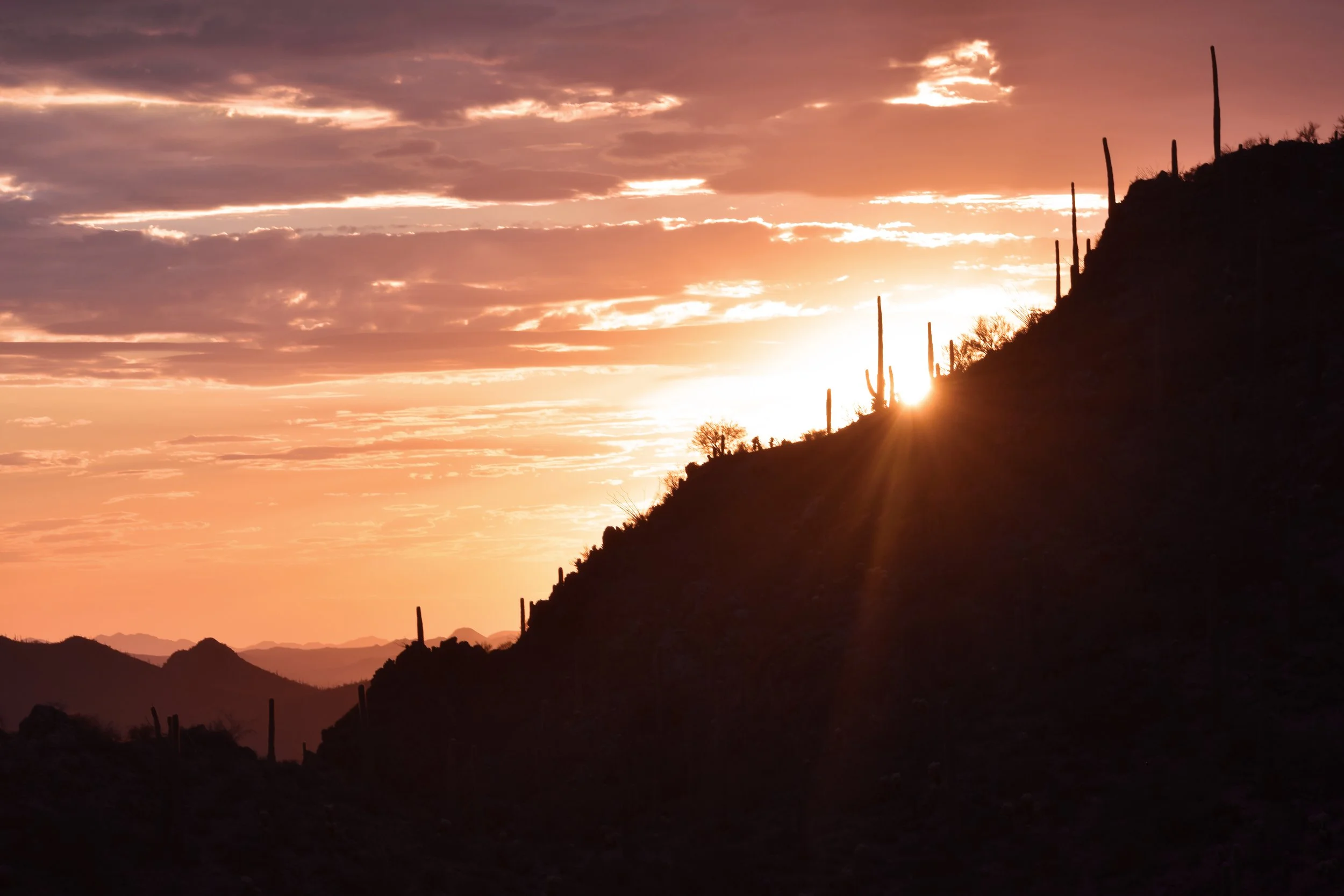Arizona.jpg
