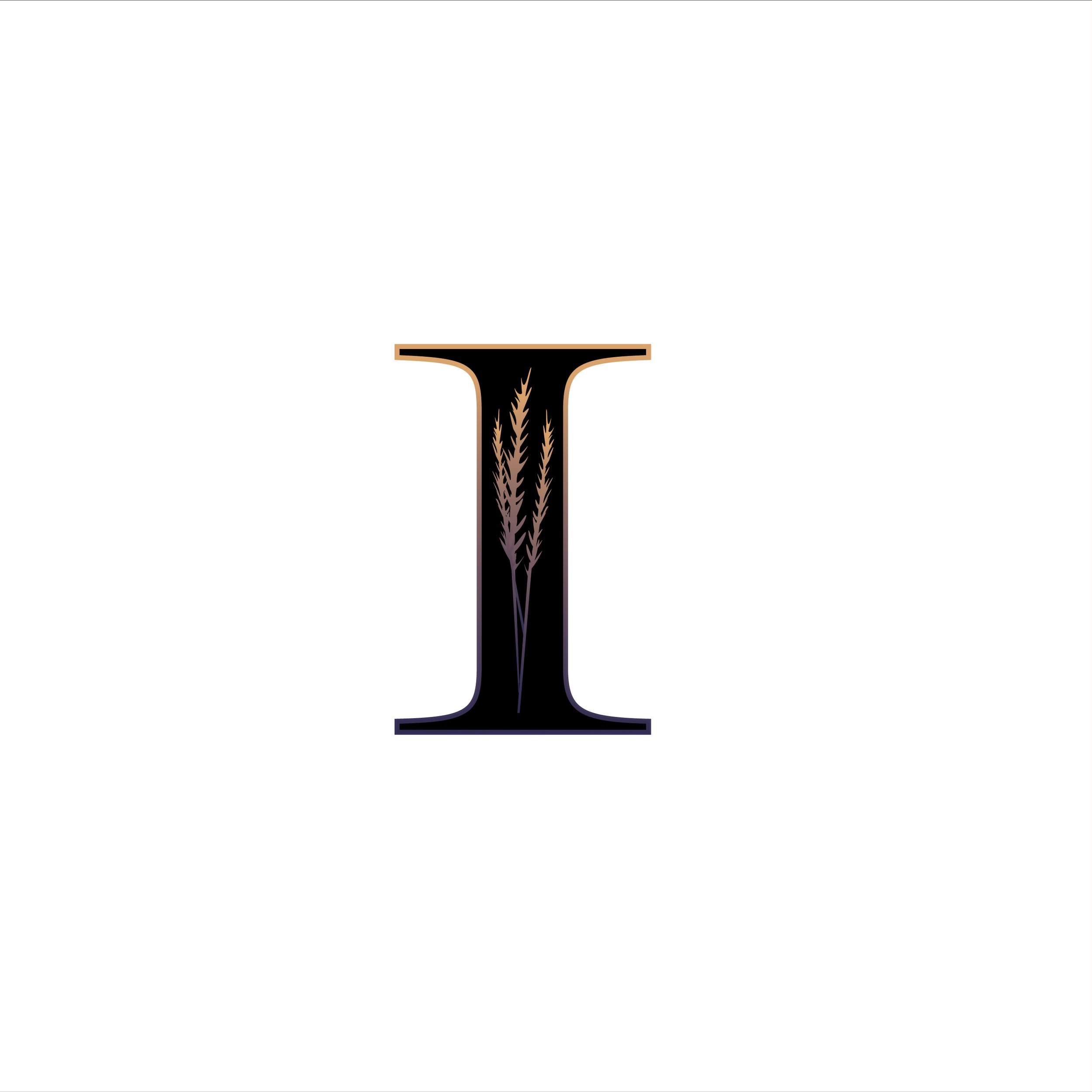 Logo concept for a photography portfolio
