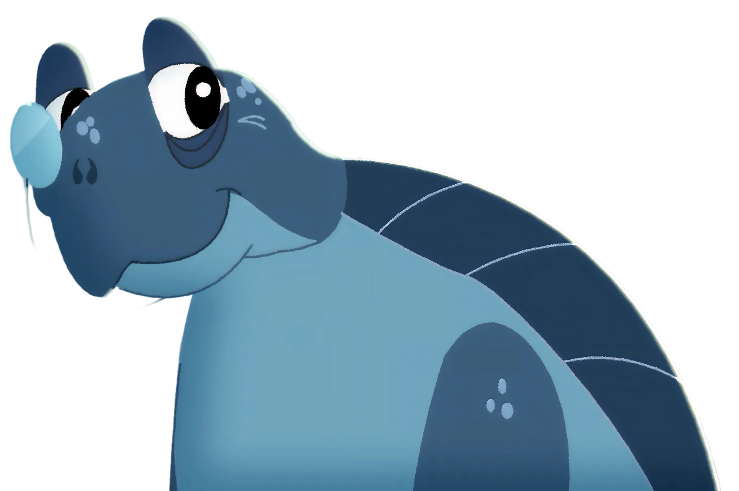 Shellton the sea turtle - Dolphin Dude