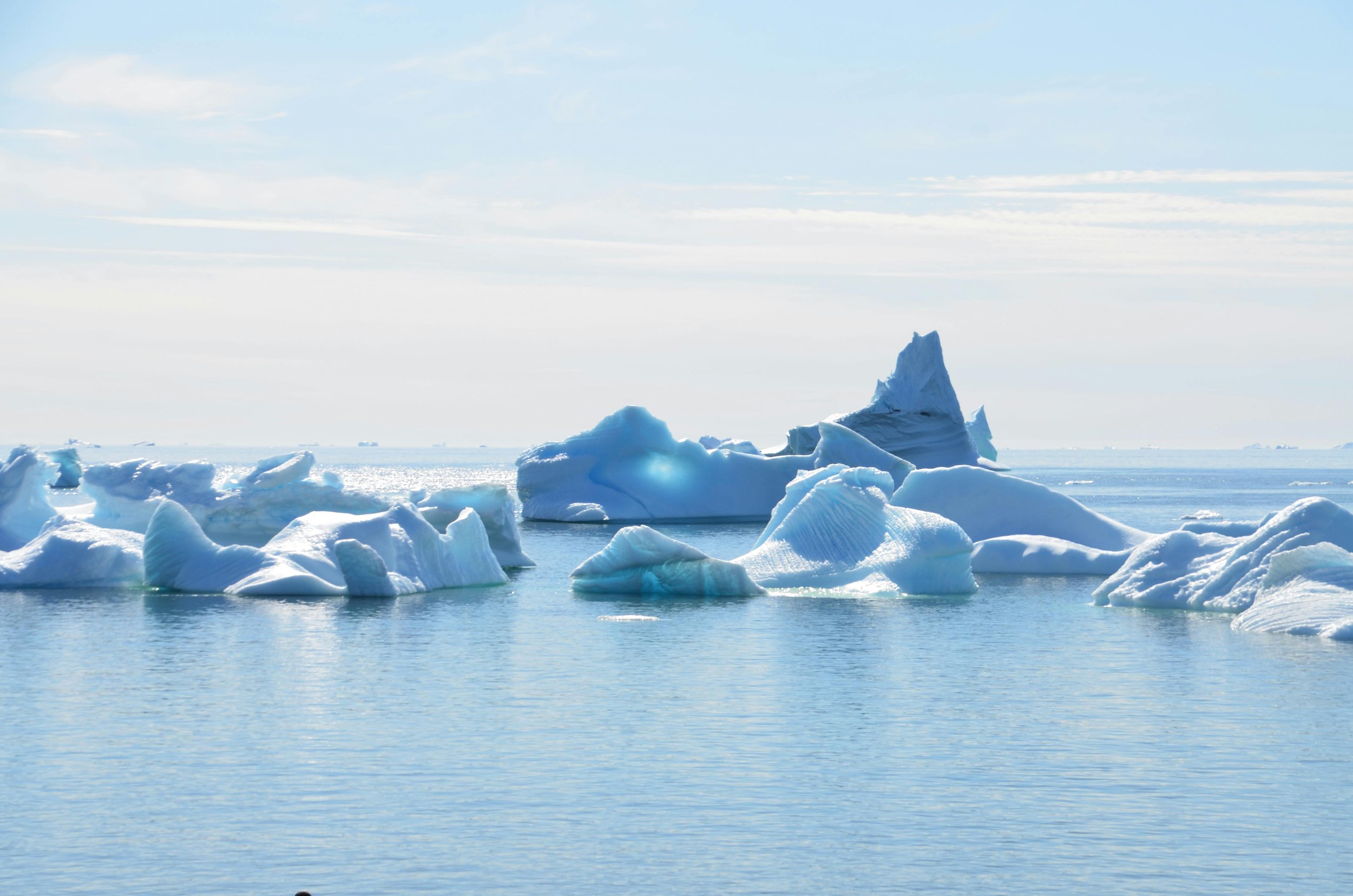 The arctic ocean