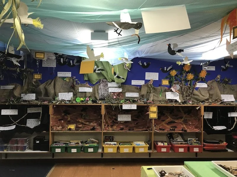 Yr 3-4 M1 Ecosystem as an Ecogram — Learning on Country