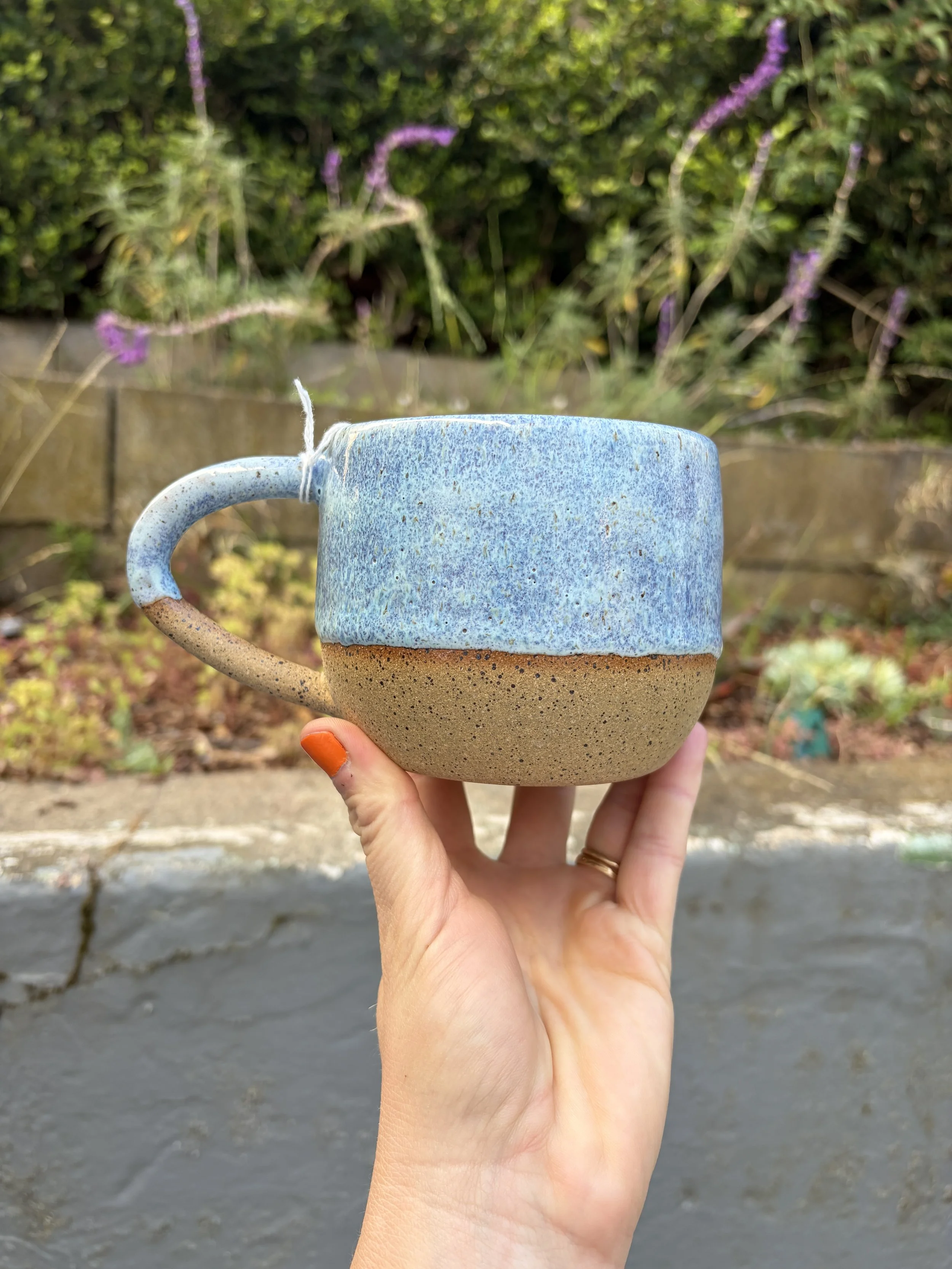 Bay Views Mug