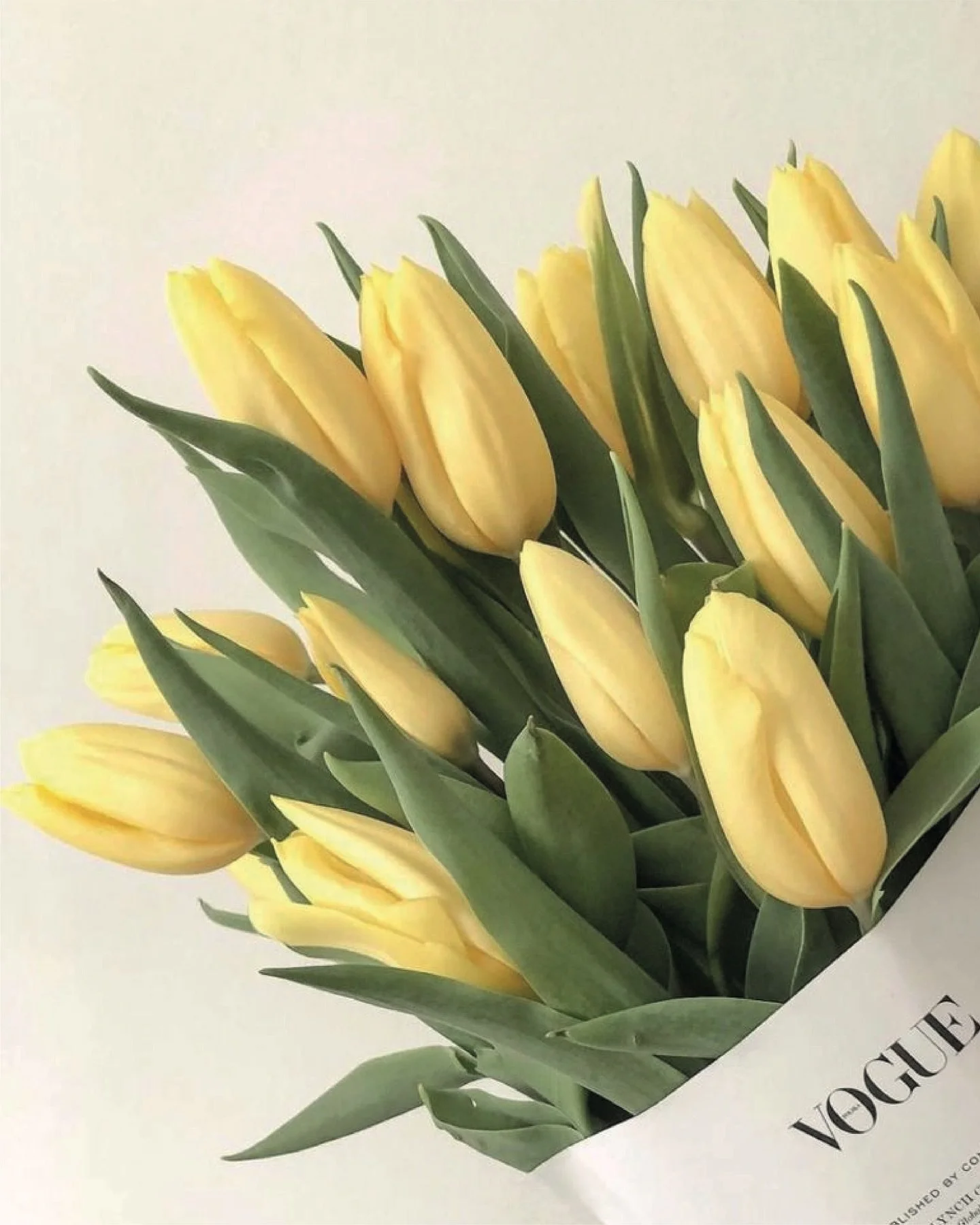 💛 Hi ha colors que et sumen sense fer soroll.
Aquest &eacute;s un.