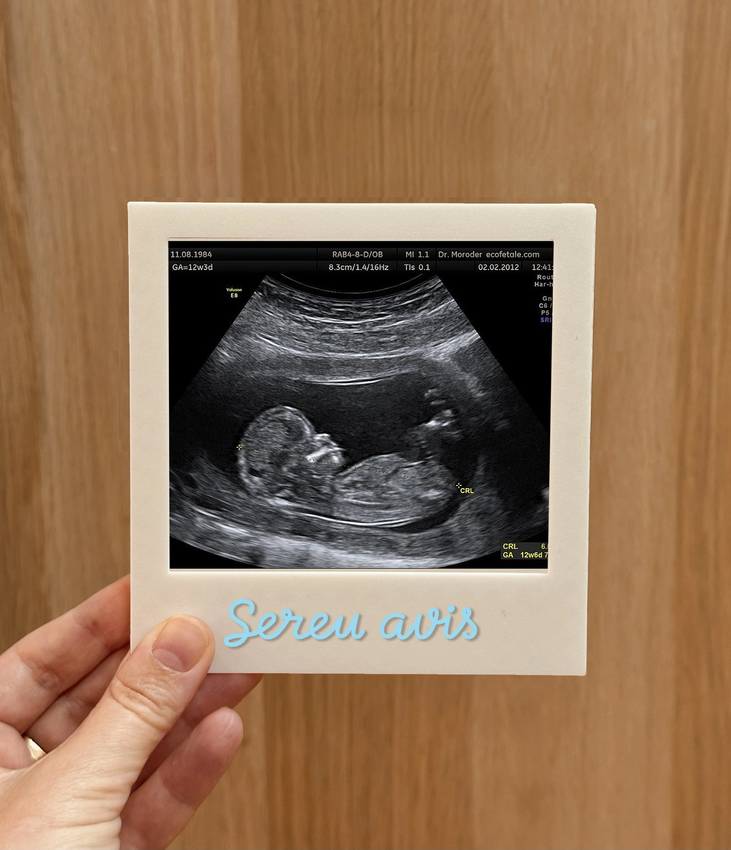 sereus avis-10x11,5 - foto 7x11cm.jpg
