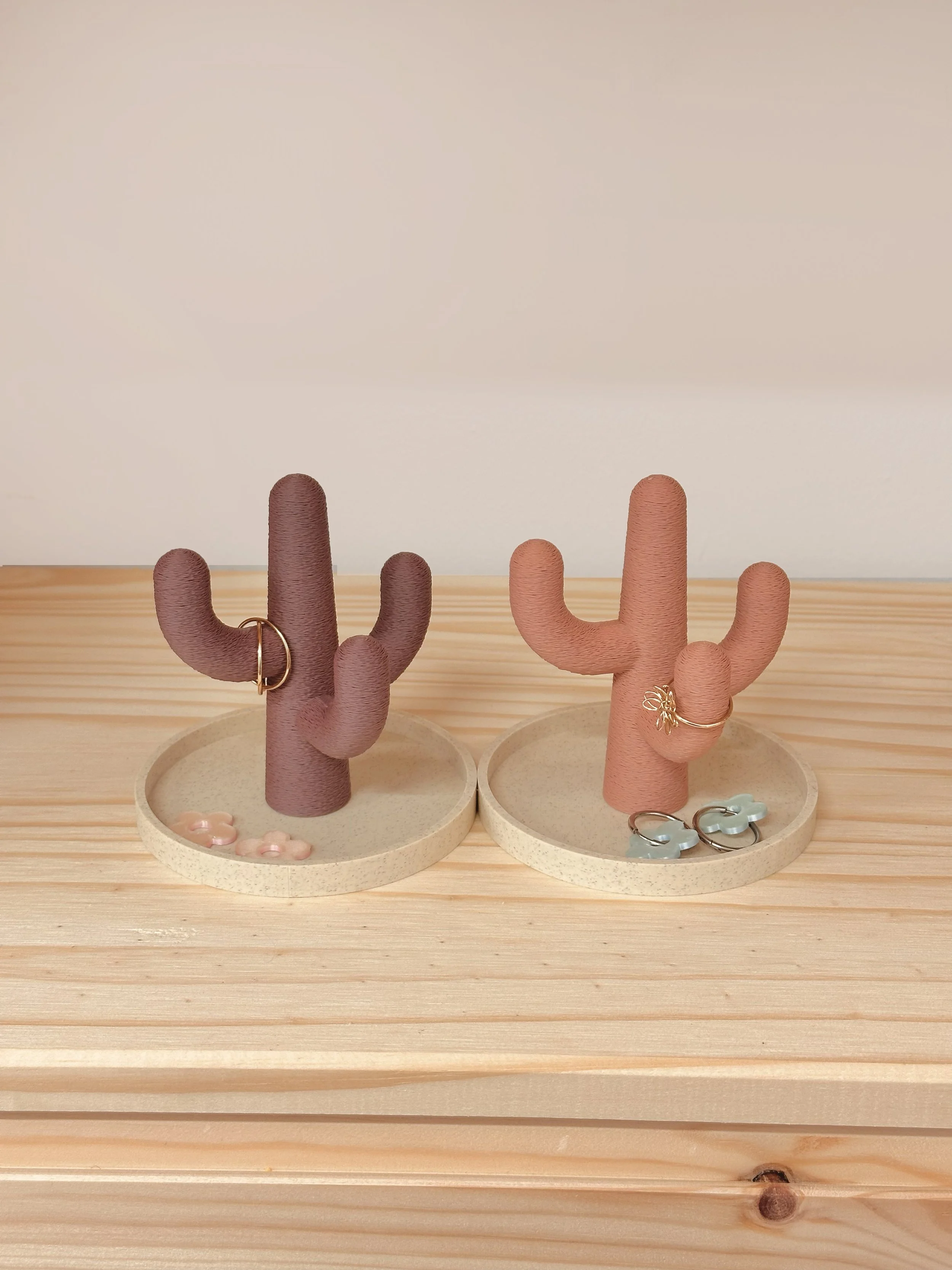 cactus beemaemuki-2.jpg