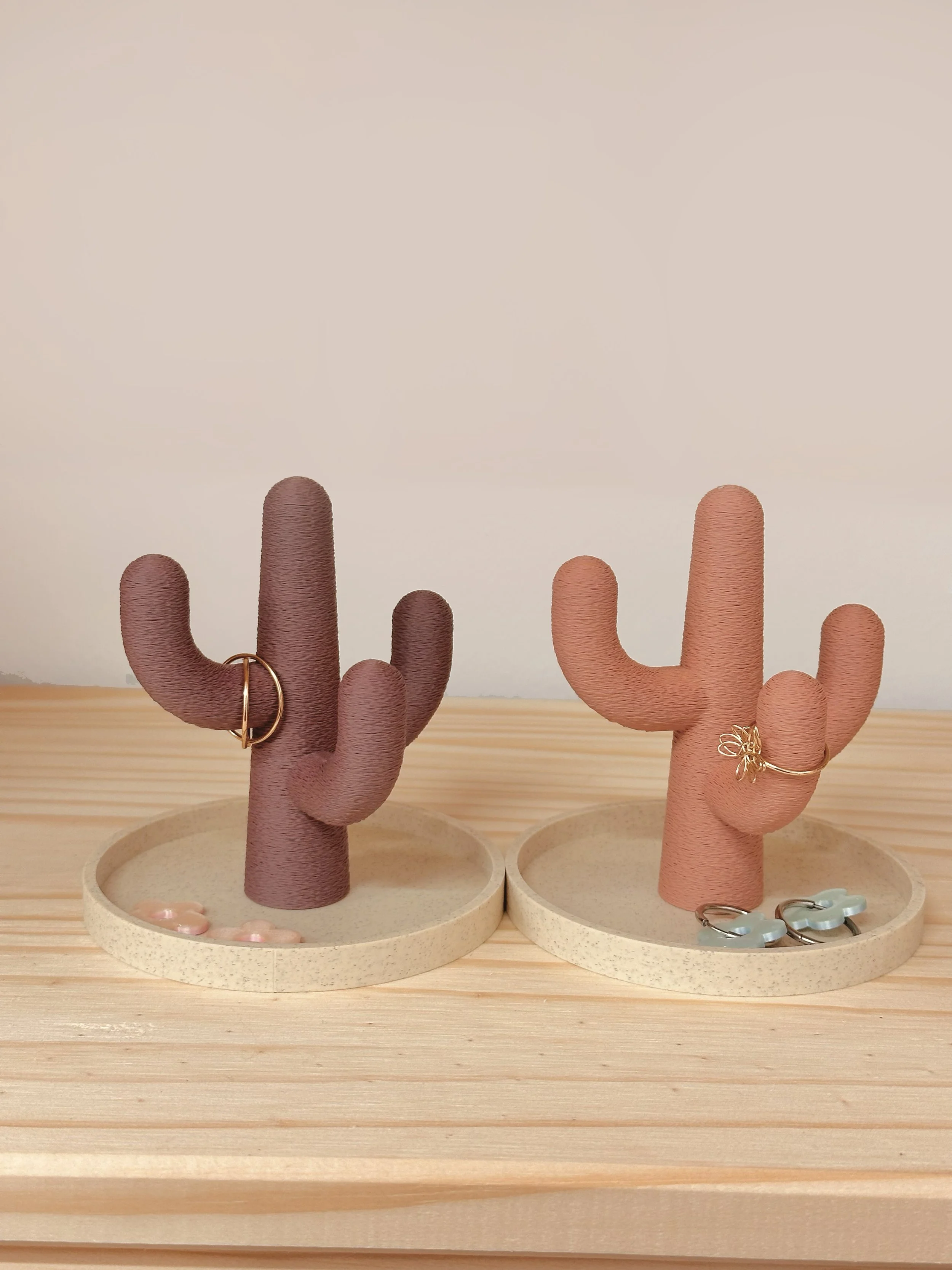 cactus-beemaemuki-3.jpg