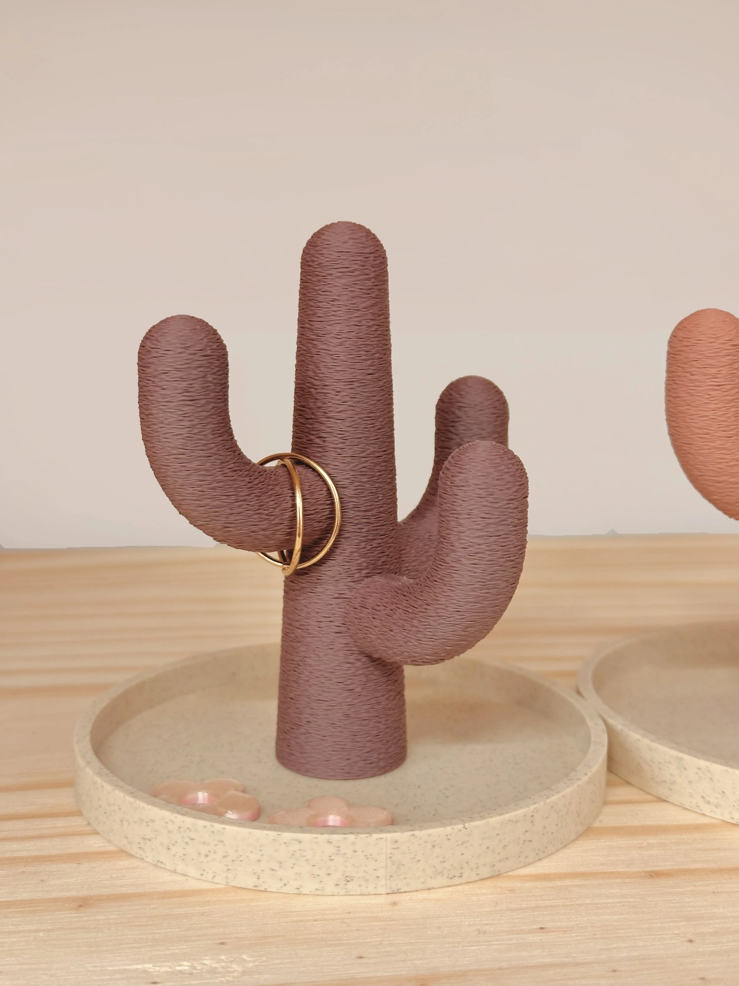 cactus-beemaemuki.jpg