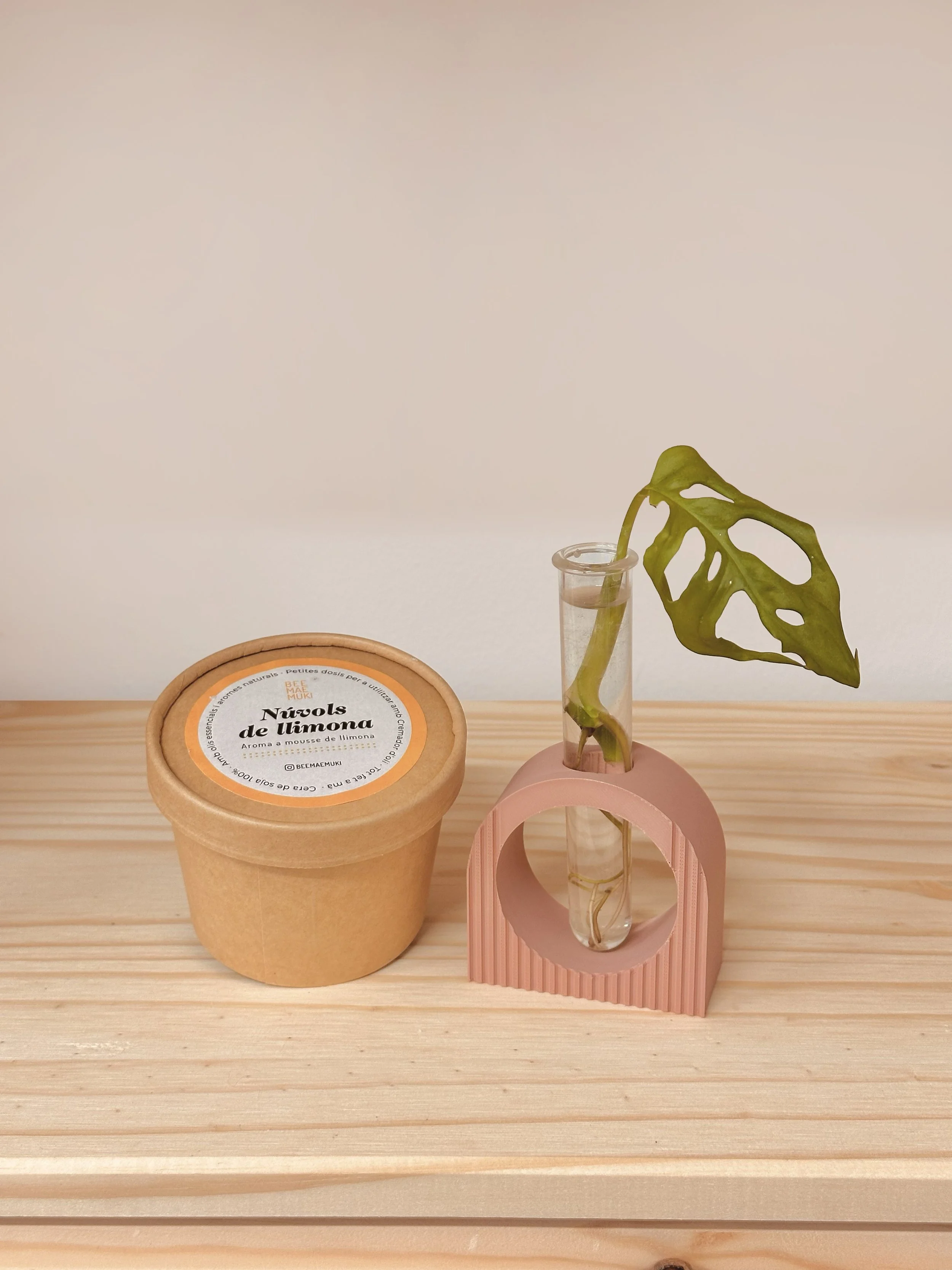 BROTS de sobremesa + Wax melts
