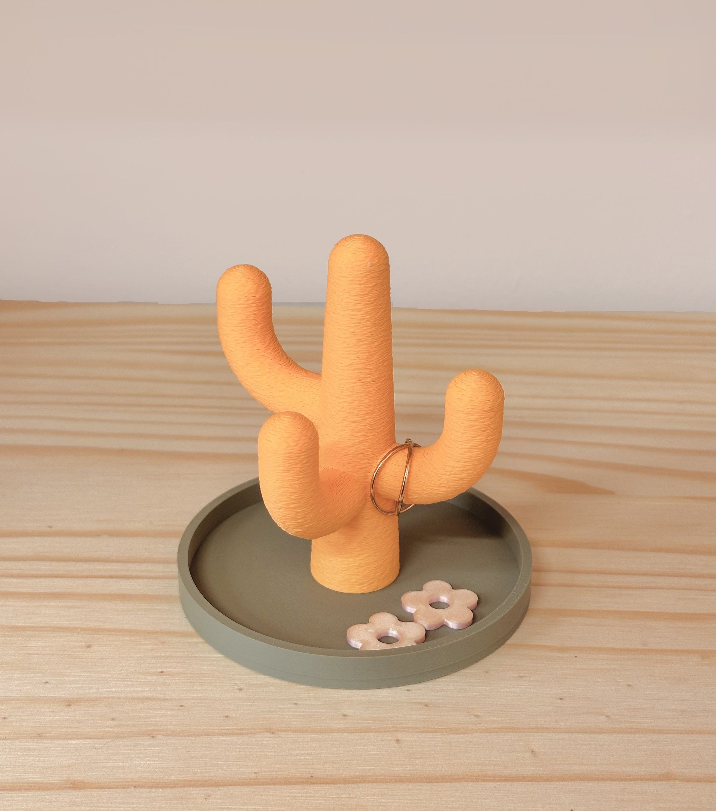 cactus-beemaemuki-7.jpg