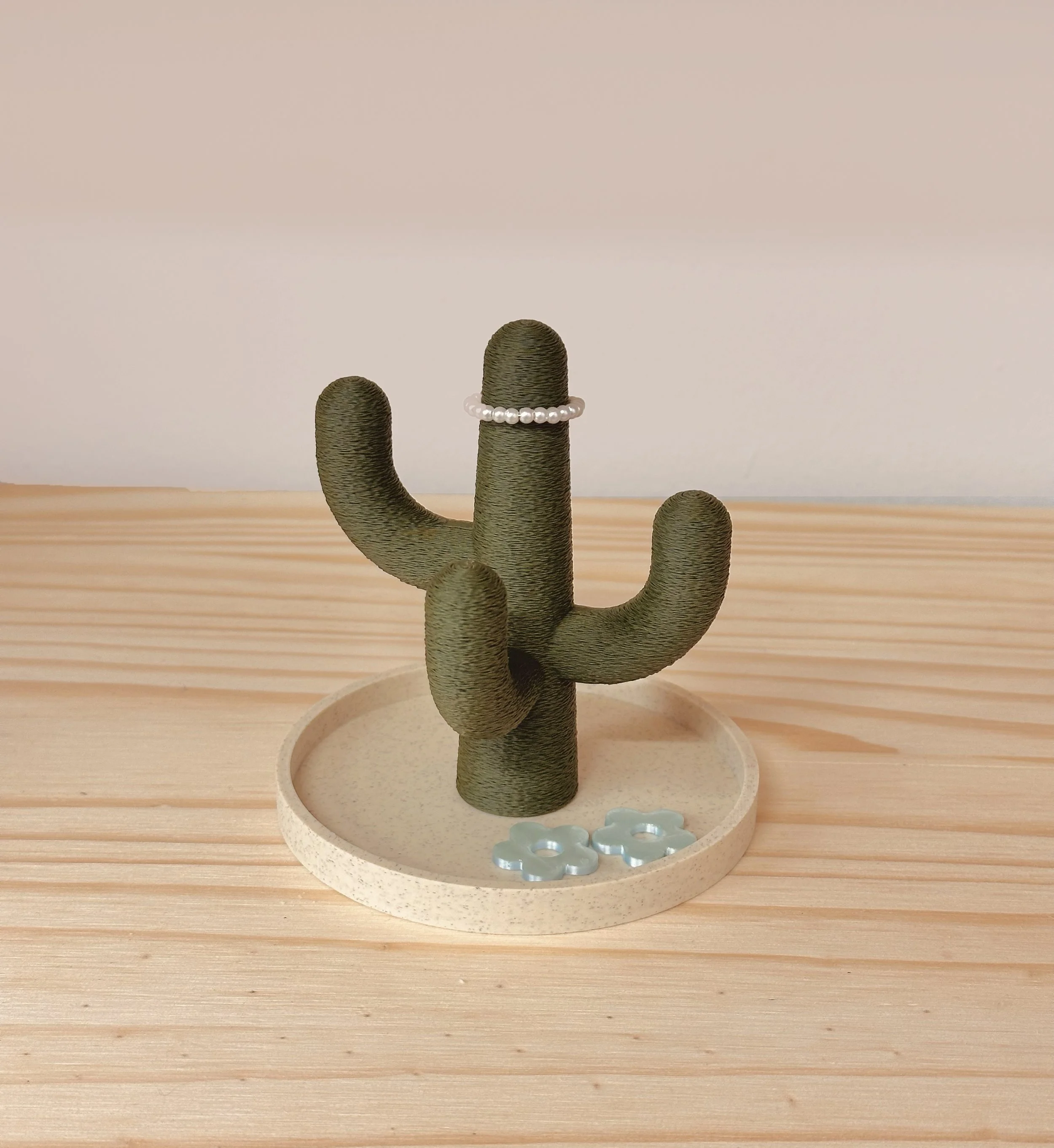 cactus-beemaemuki-8.jpg