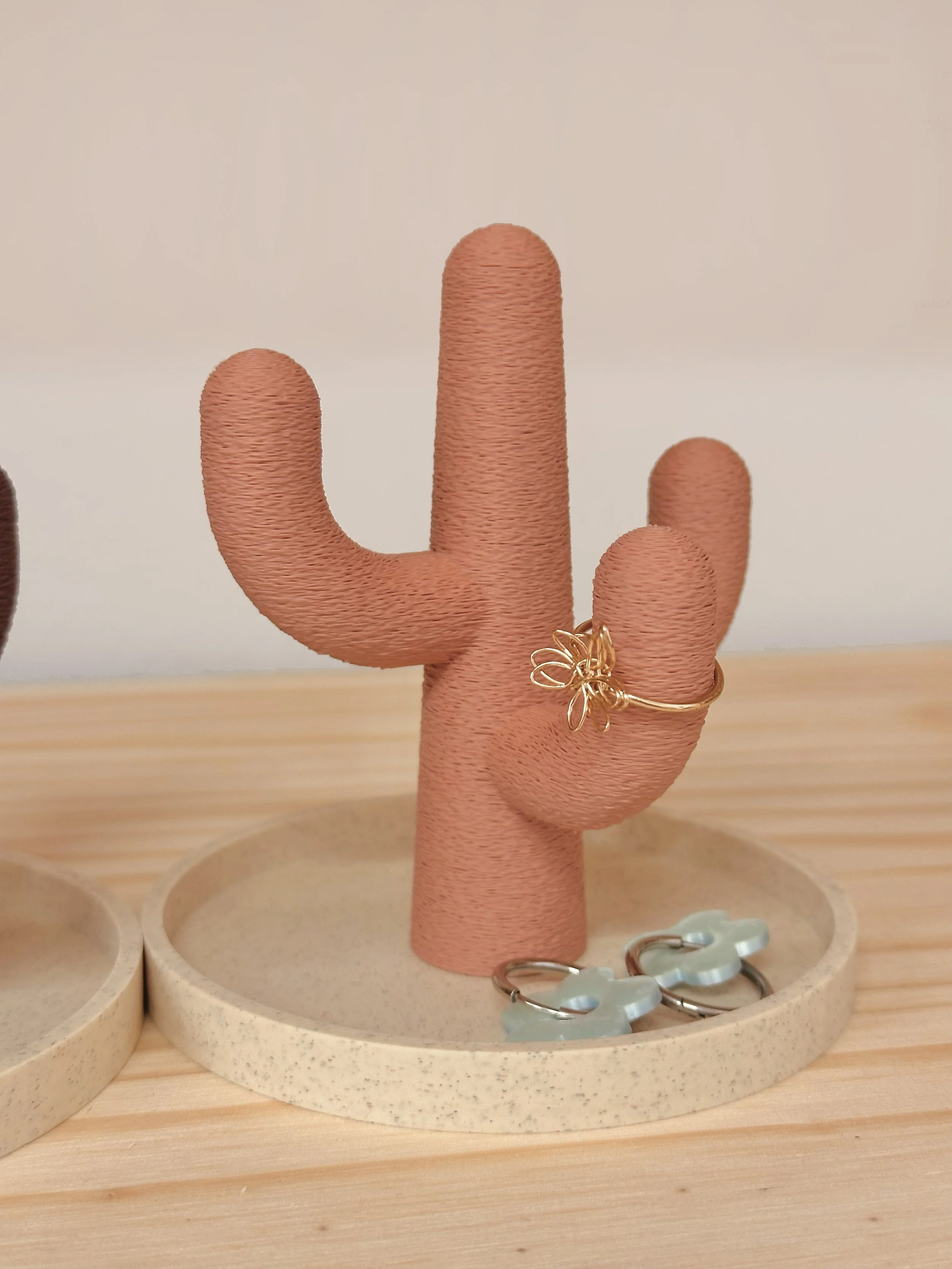 cactus-beemaemuki-5.jpg