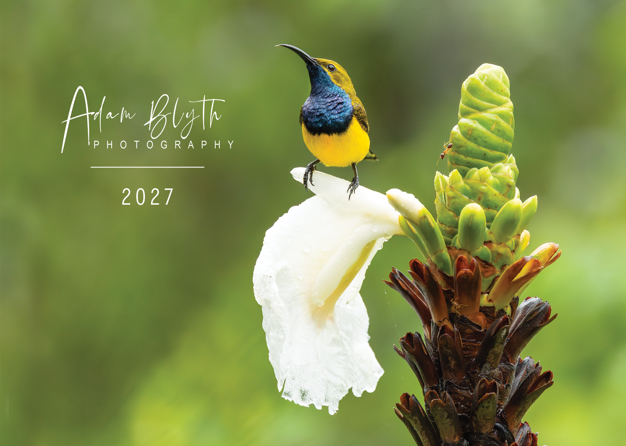 2027_calendar_cover_2048px.png