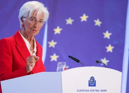 ECB may wait until December to make final rate cut: survey